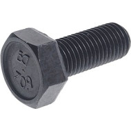 Болт М10х1.25х30 ВАЗ-2110 подвески (кл.проч. 8.8) ТТМ - 1/13069/21